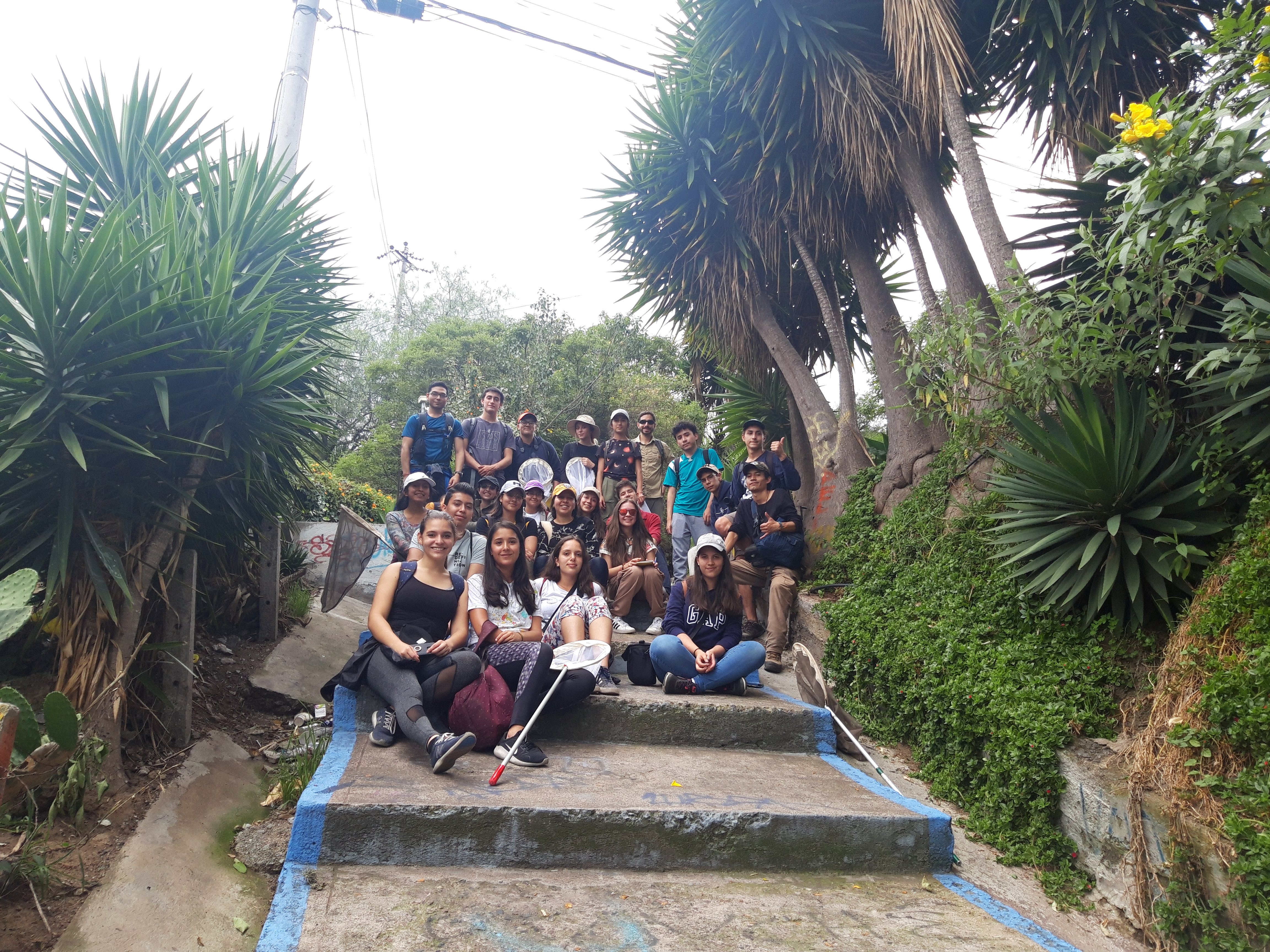 Naturaleza 3