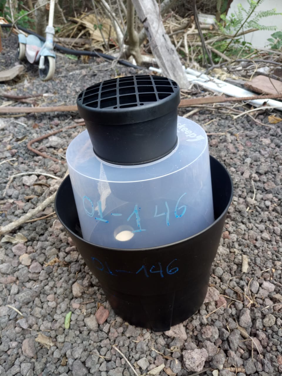 Mosquitos