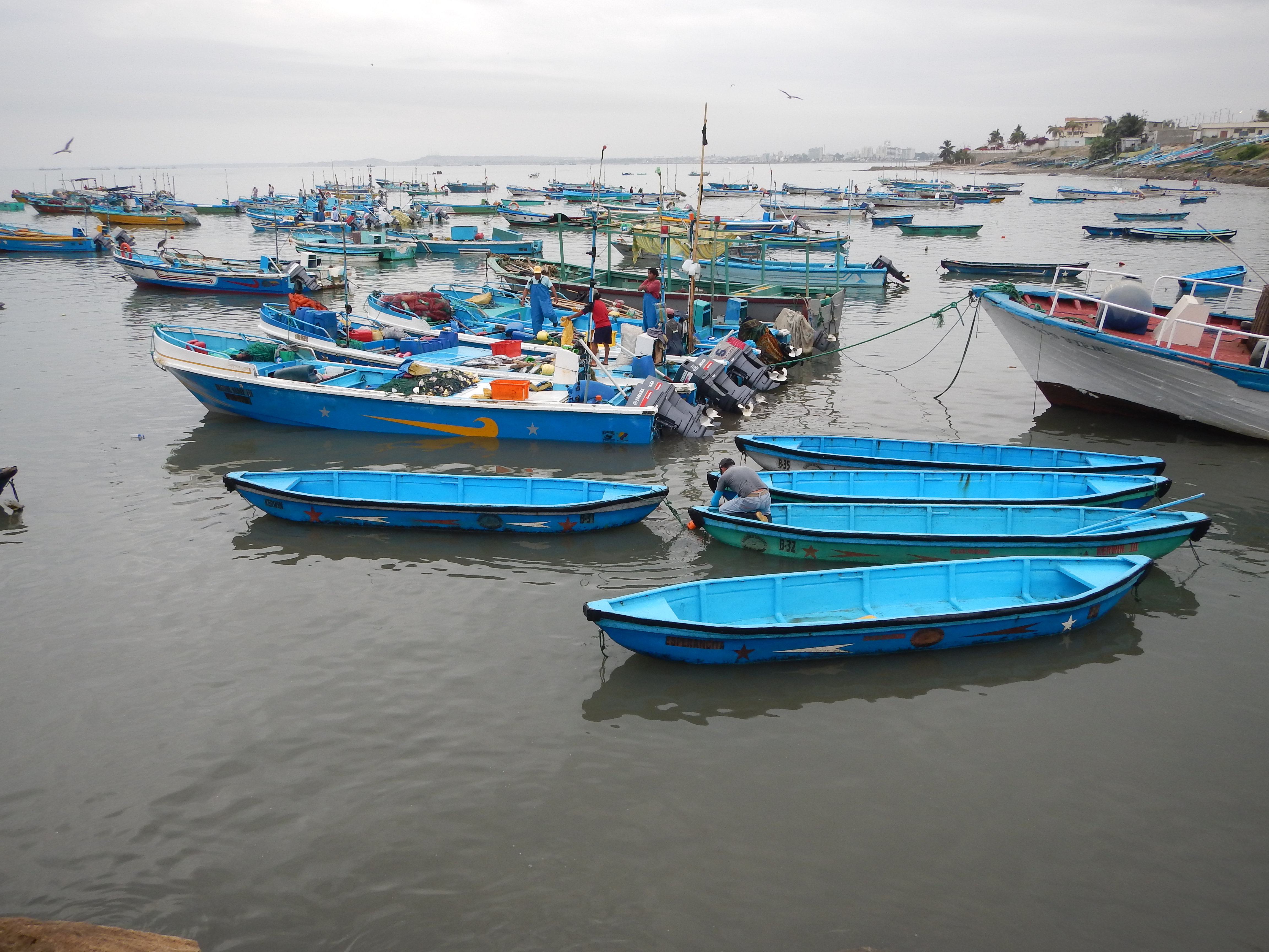  Consumo responsable de peces y mariscos 3