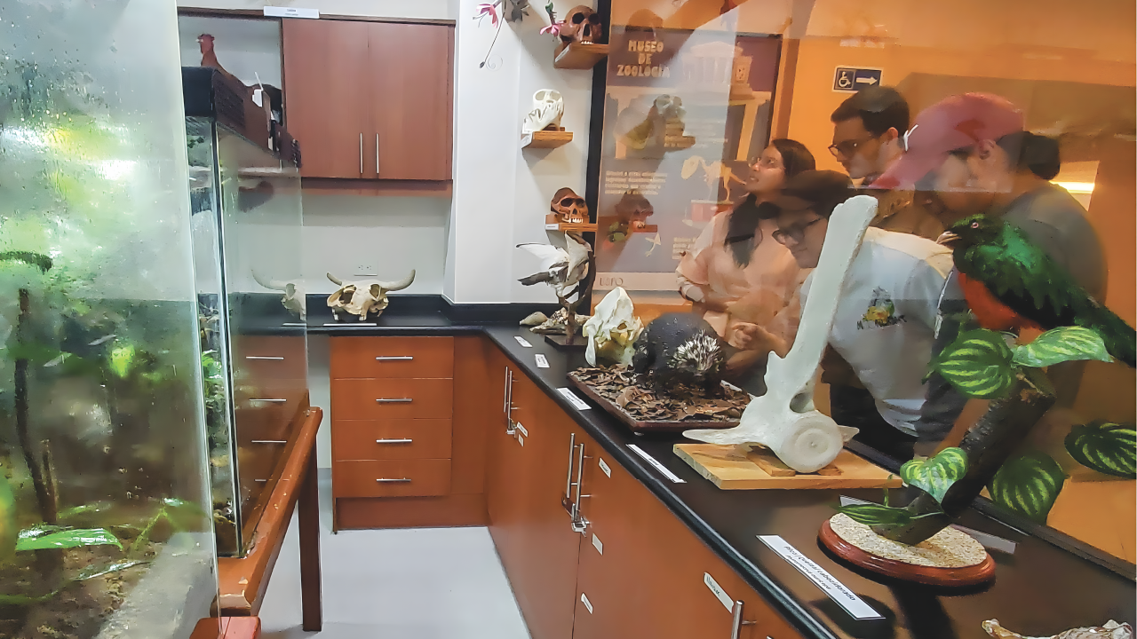 Museo de Zoología ZSFQ