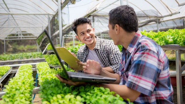 usfq-pregrado-agroempresa