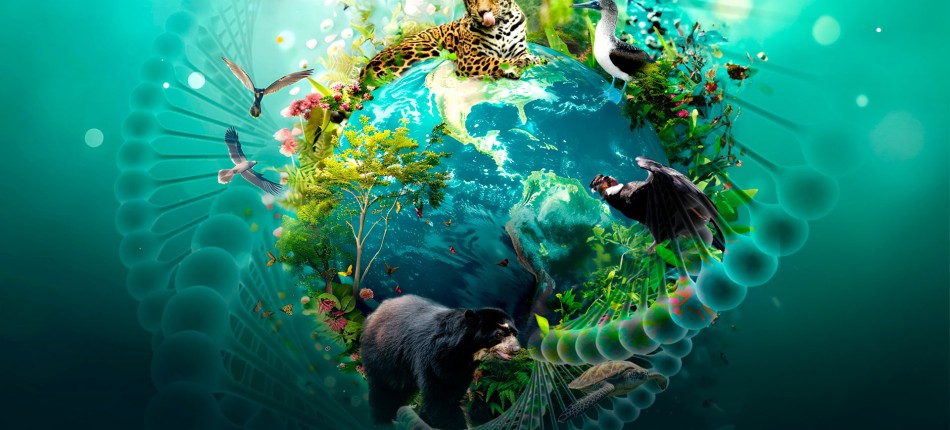 usfq-evento-horizontal-biodiversidad-slide-001