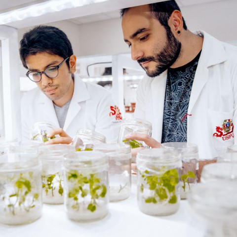 Banner Biotecnologia