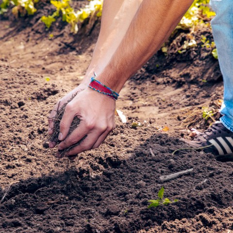 Banner Agronomía