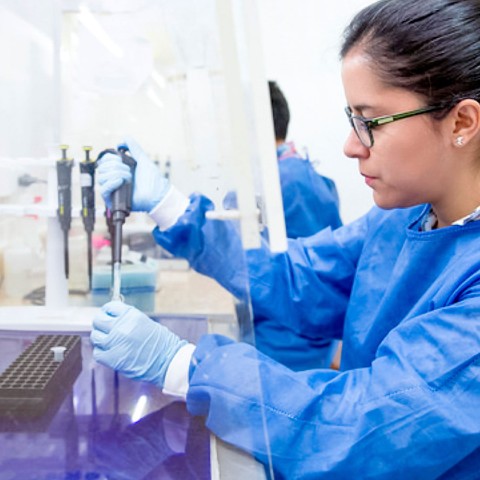 Banner Máster en Microbiología