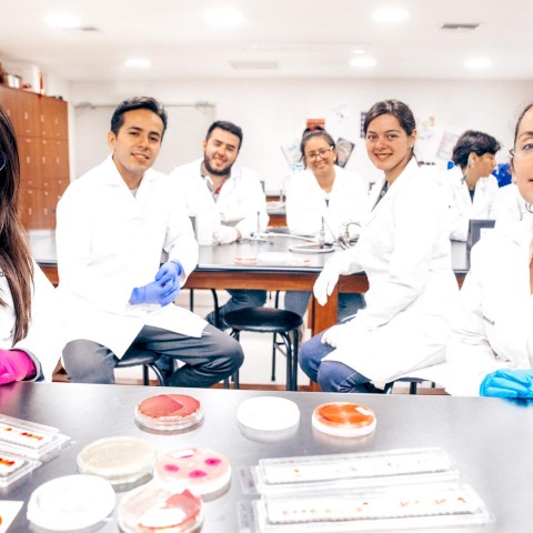 Banner Subespecialización en Biotecnología
