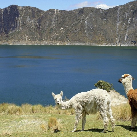 Turismo sustentable