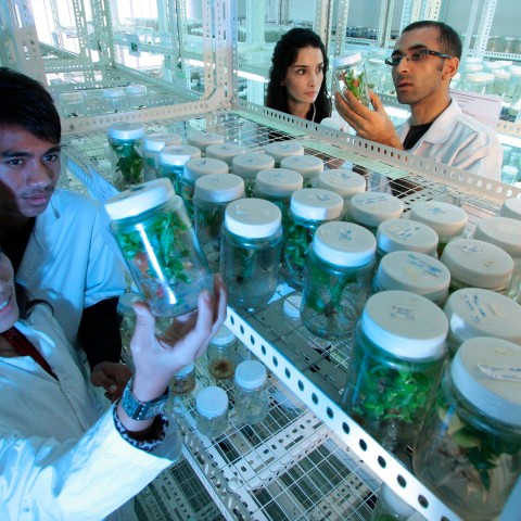 Banner Biomasa 2020