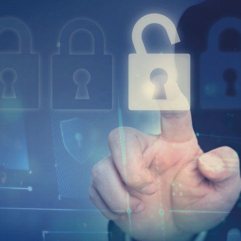 Ciberseguridad: defensiva y ofensiva, informática forense y gestión.