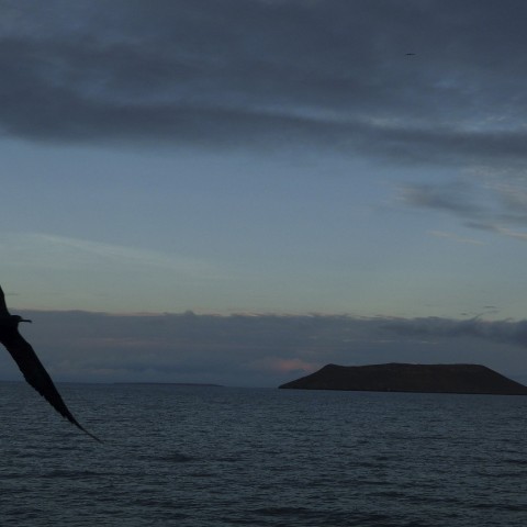 Galapagos World Summit on “Physics Beyond the Standard Model”
