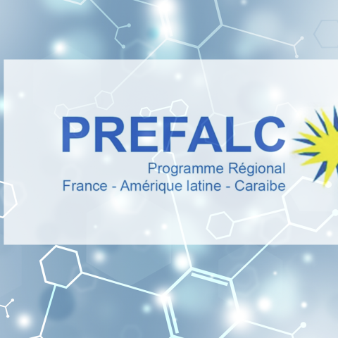 PREFALC