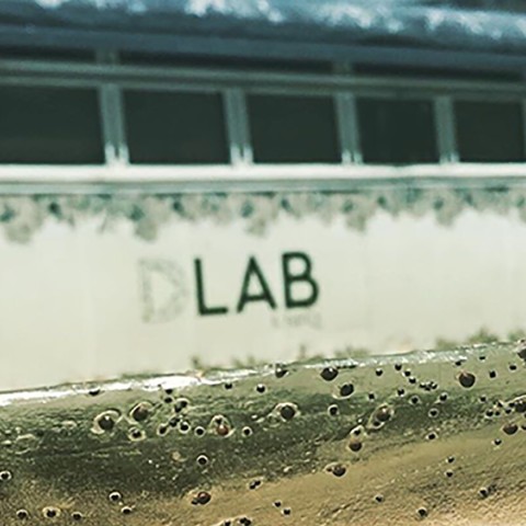 Portada DLab