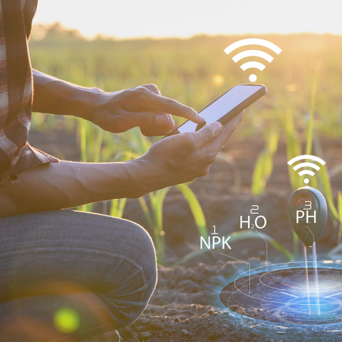 Desarrollo Tecnológico y Apertura de Nuevos Mercados para la Agricultura