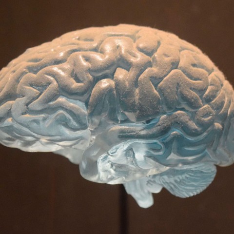 Banner Symposium Neurocritical Care and Research