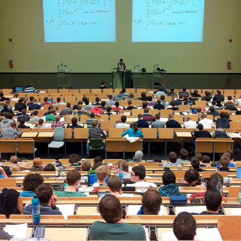 Banner translating mind brain education
