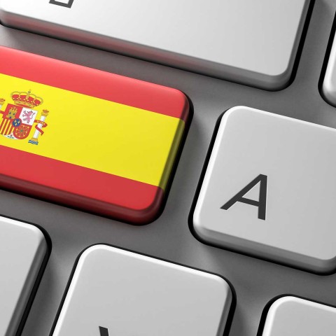 dle-espanol-banner