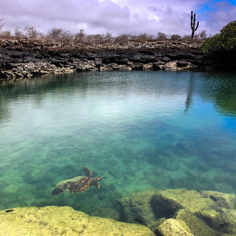 World Summit on Island Sustainability