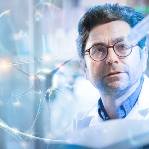 How do you feel? Molecules that sense touch