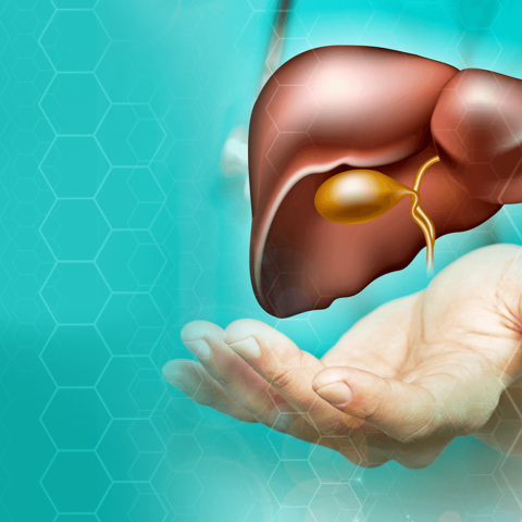 Día mundial de la Hepatitis: La situación del Ecuador