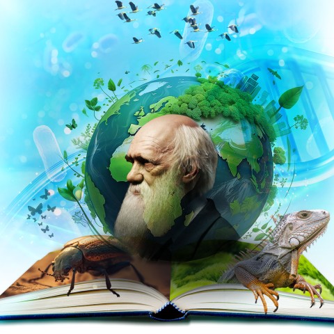 Beca Charles Darwin