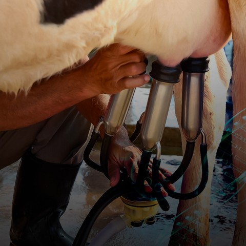 usfq-evento-simposio-leche