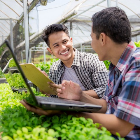 usfq-pregrado-agroempresa