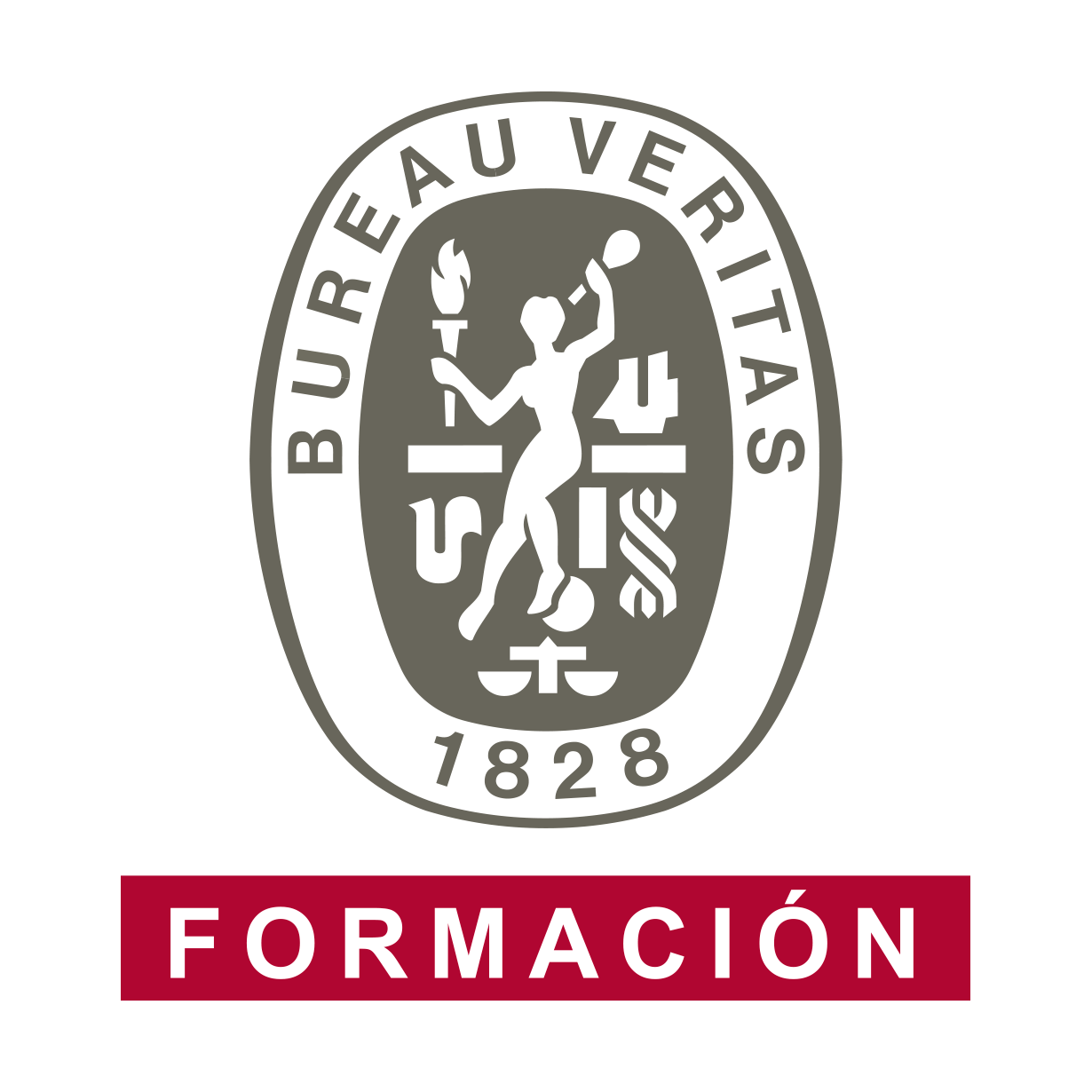 Logo Boreau Veritas Formacion