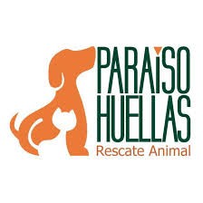 Fundación Paraíso Huellas Rescate Animal