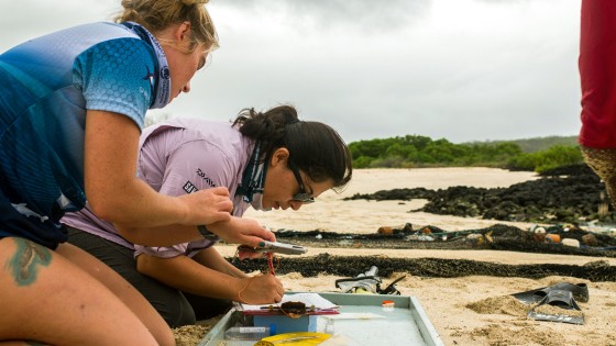 Maestría en Gestión Ambiental (Galápagos)