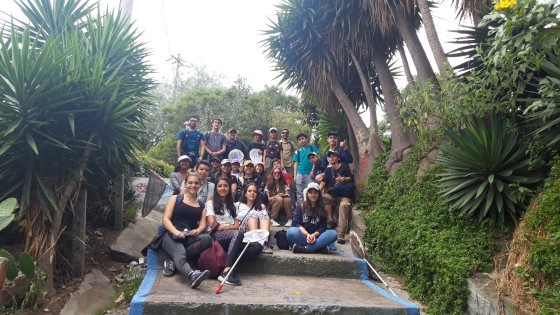 Naturaleza 3