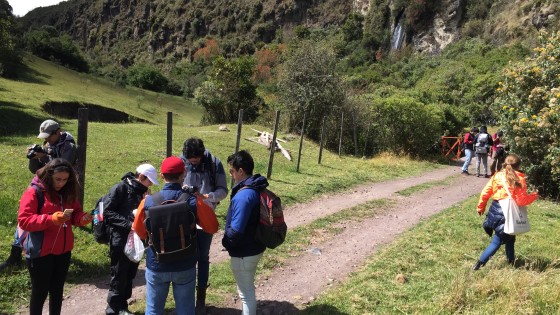 Celebrando las naturalezas