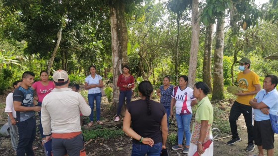 agrobiodiversidad