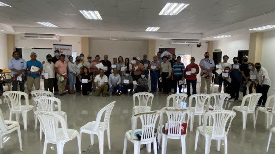 Bovinos 2