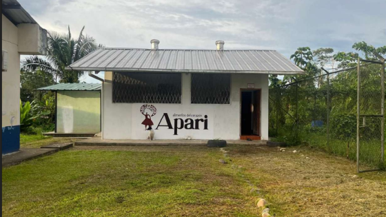 Apari