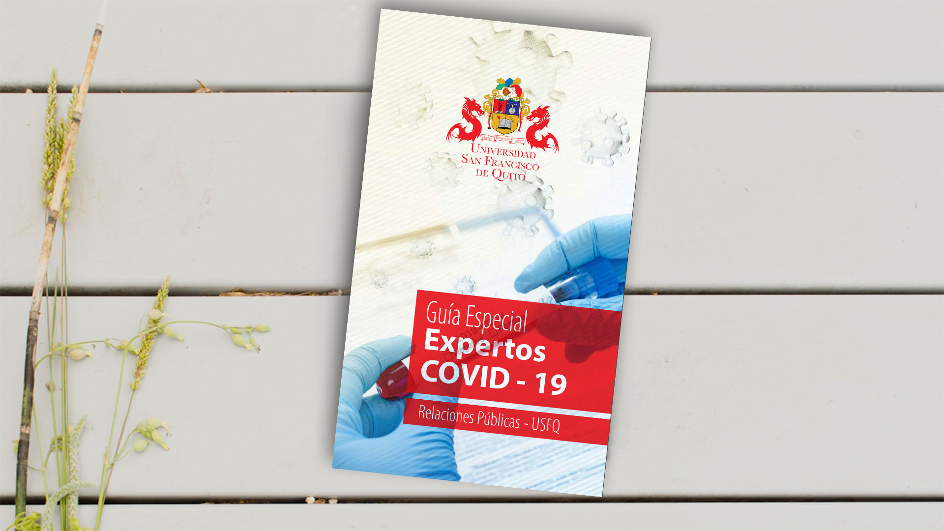 Banner Guía de expertos