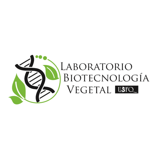 Lab BTC Vegetal