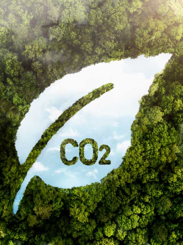 thumbnail-usfq-evento-encuentro-ecosistema-carbono-ecuador
