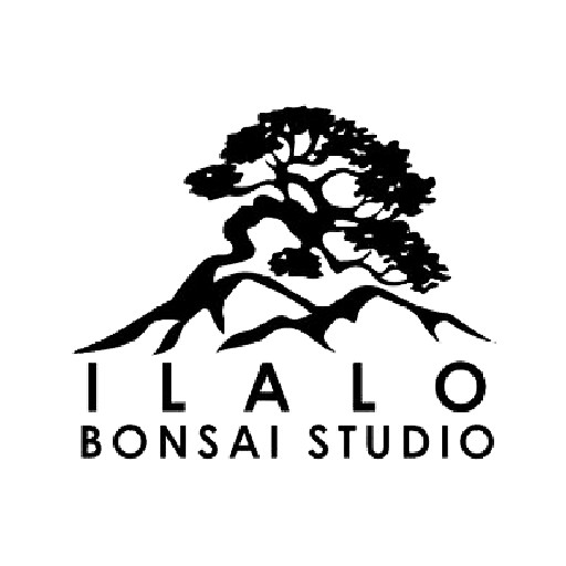 ilalo-bonsai-studio-logo