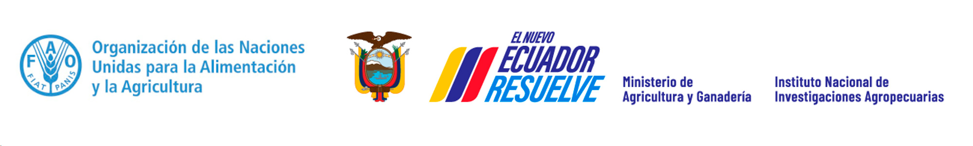 organizadores