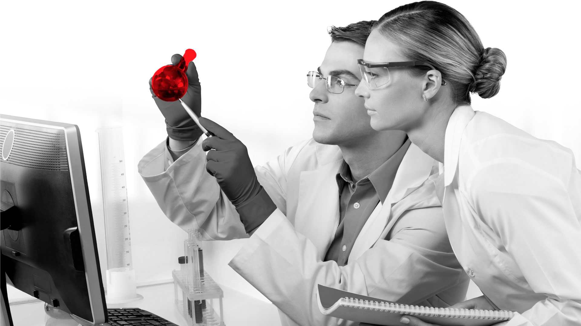 programas en áreas de investigación