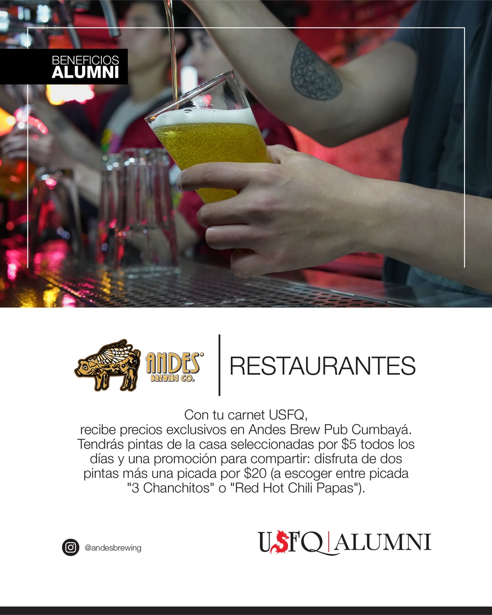 Andes Brewing