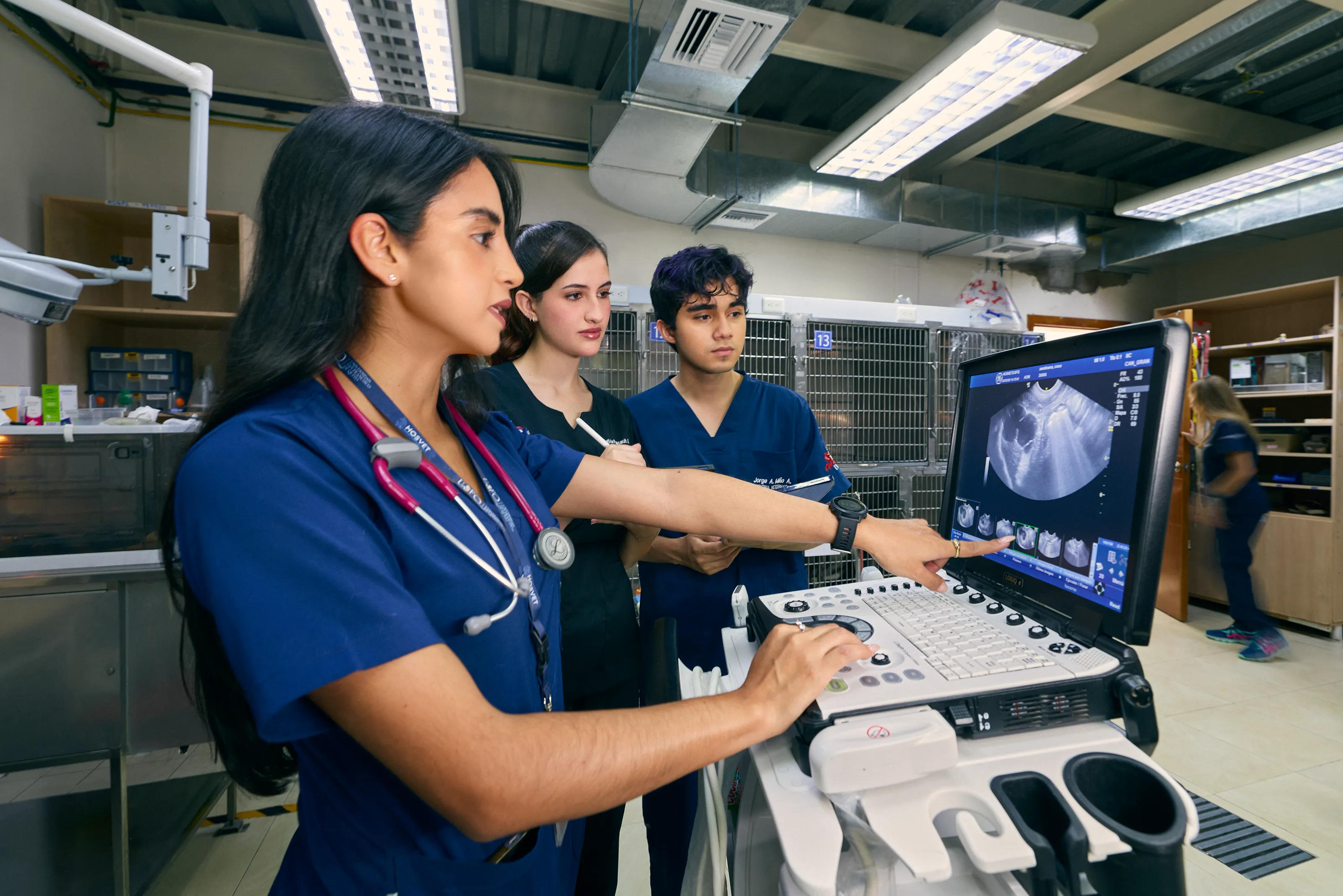 medicina_veterinaria