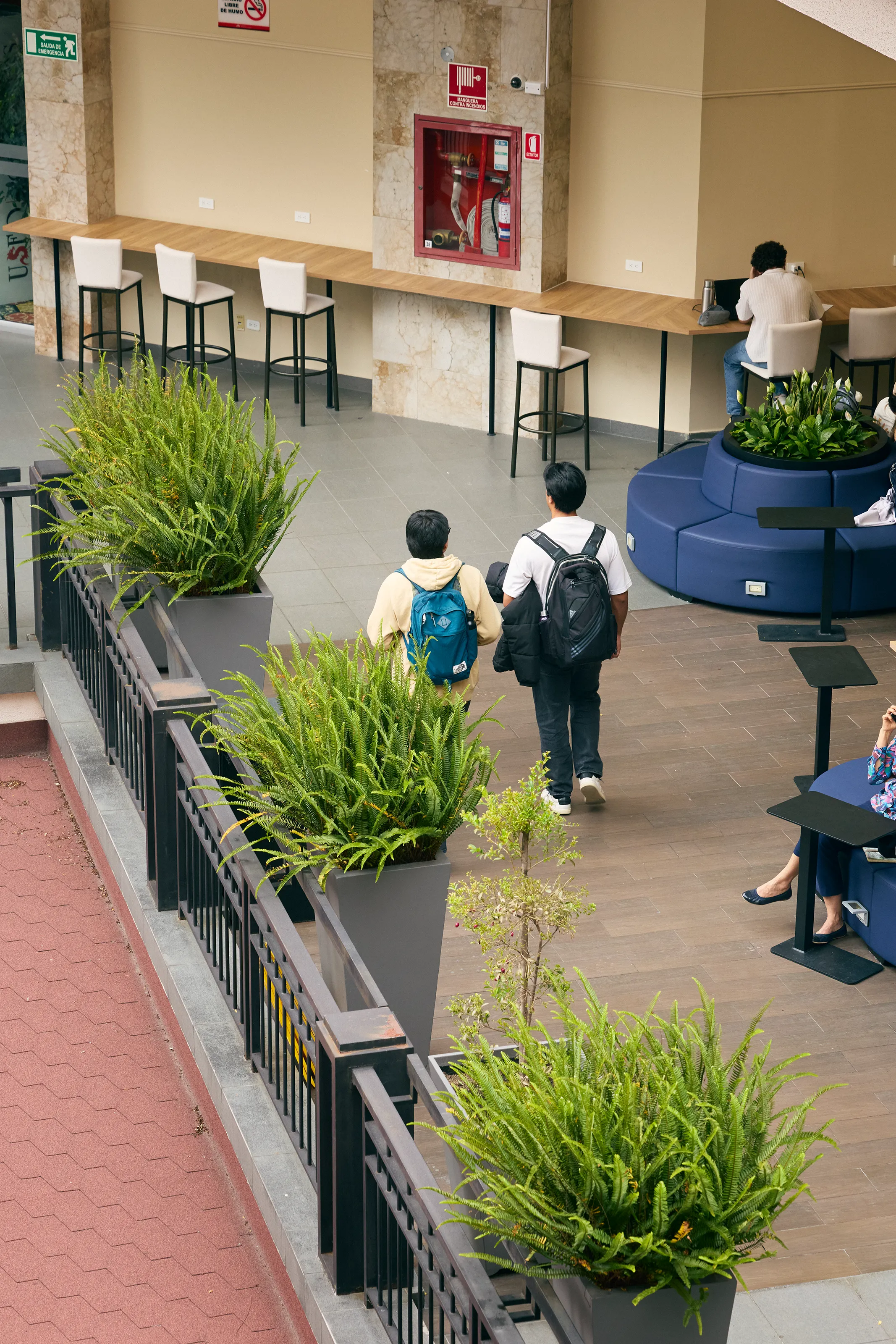 campus y estudiantes