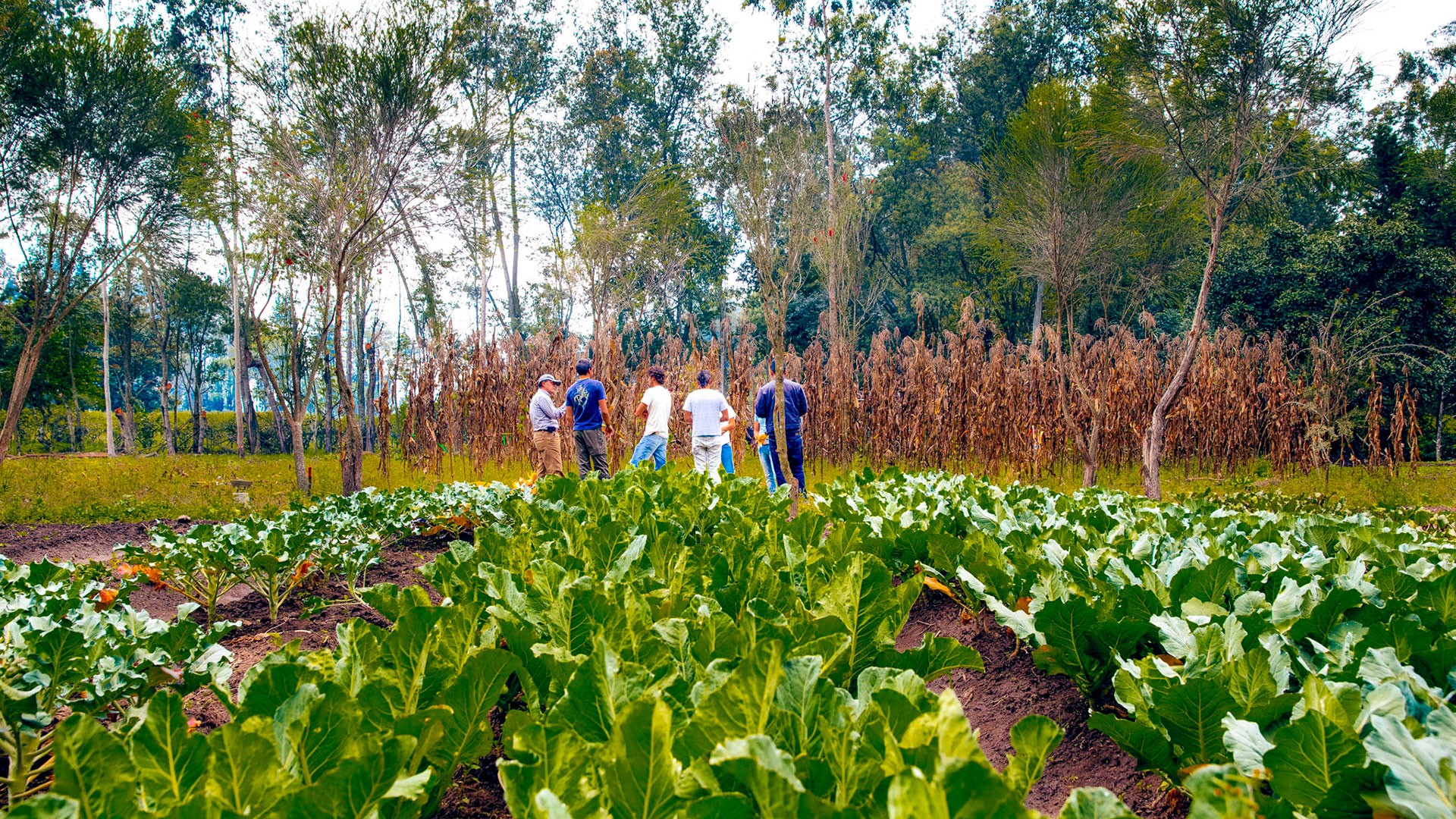agronomia_grupo de estudiantes usfq