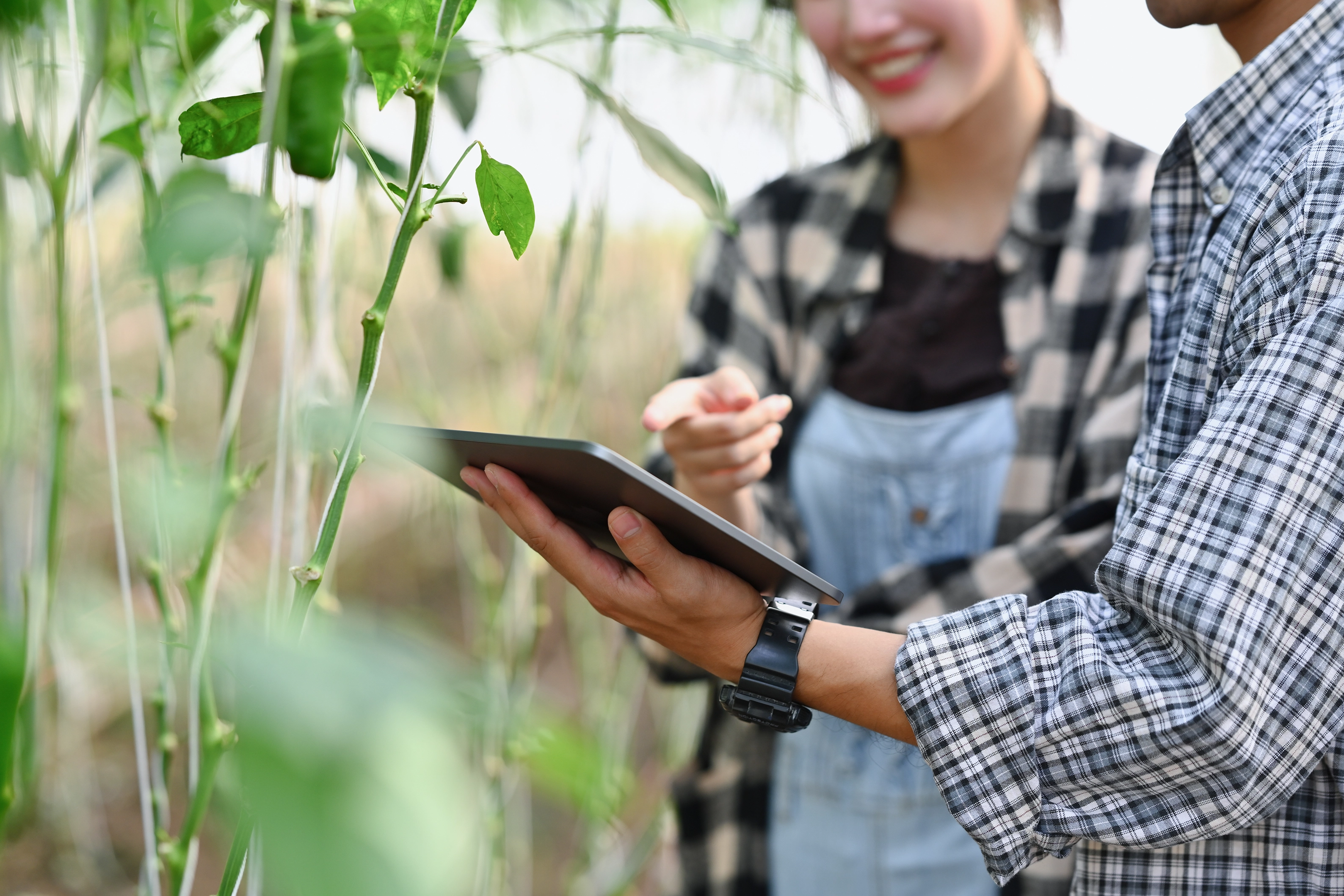 farmers-using-tablet-checking-plants-in-greenhouse-2026-01-06-09-31-47-utc