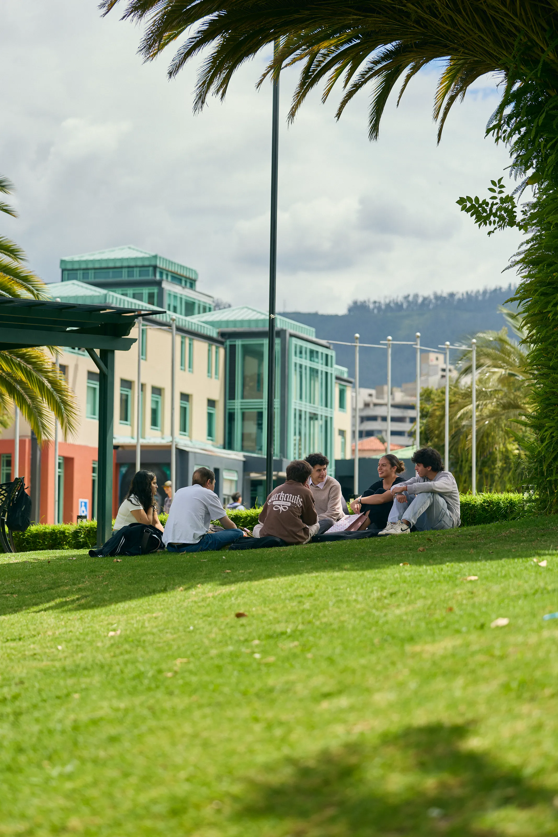 estudiantes en cesped 