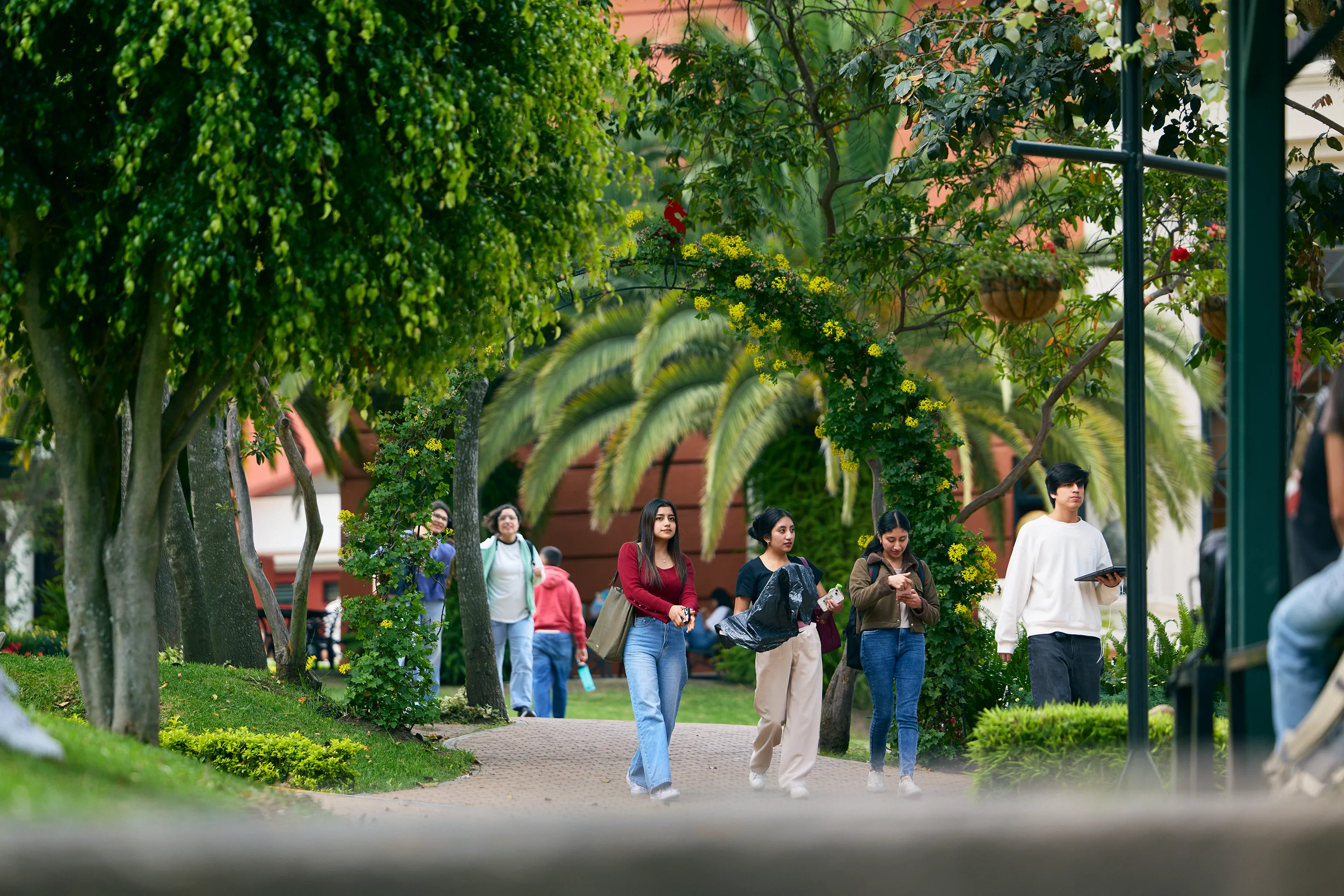 estudiantes caminando