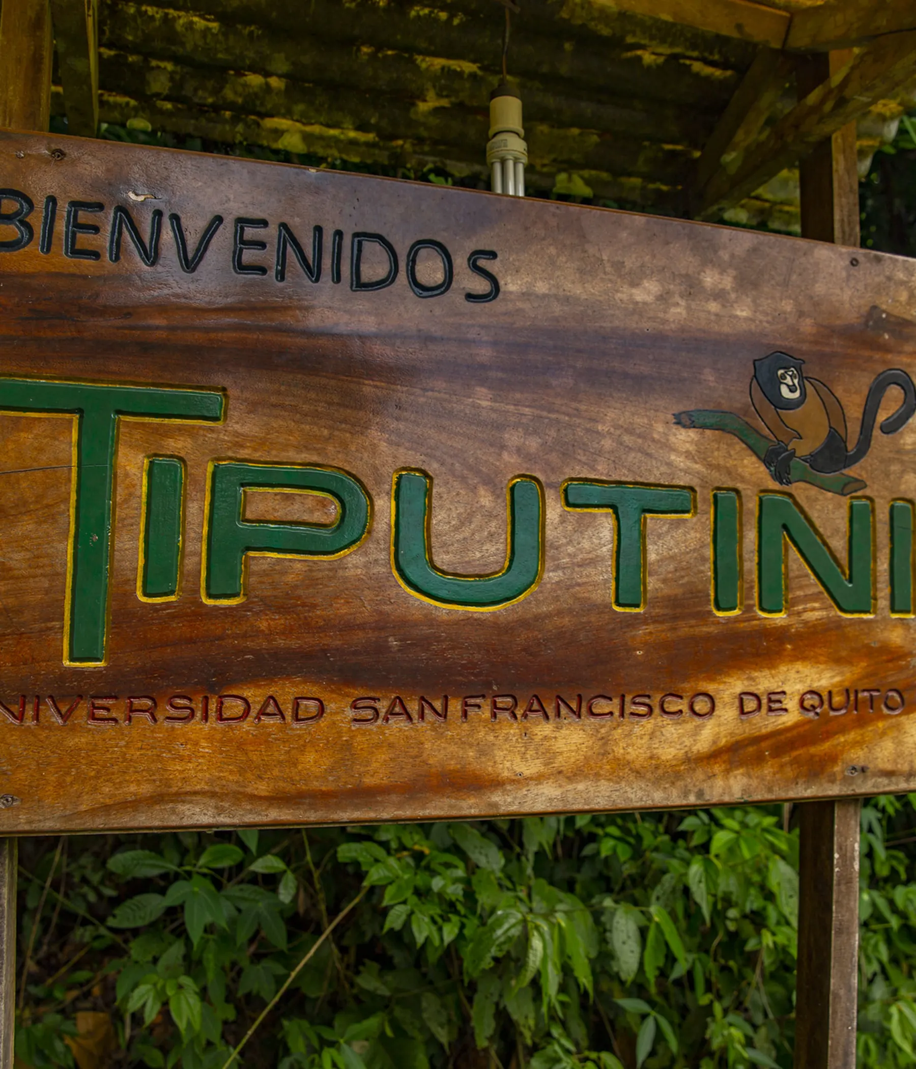 letrero de madera