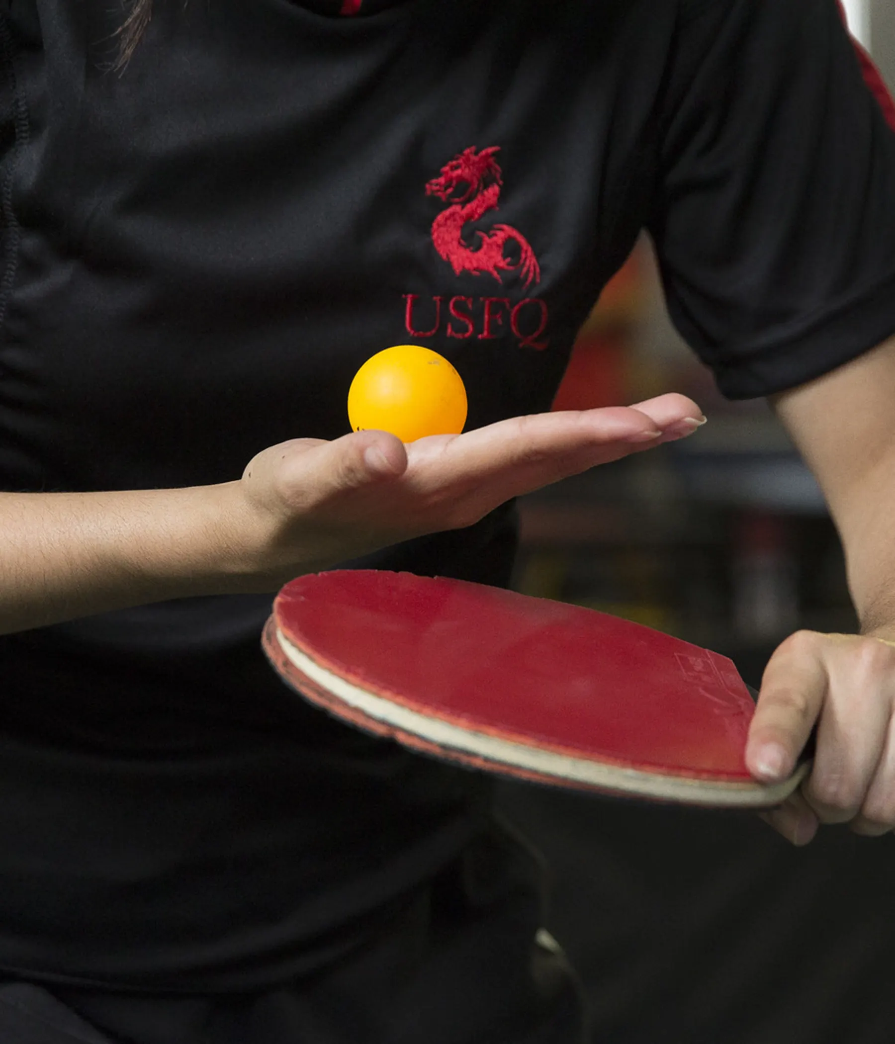raqueta y pelota