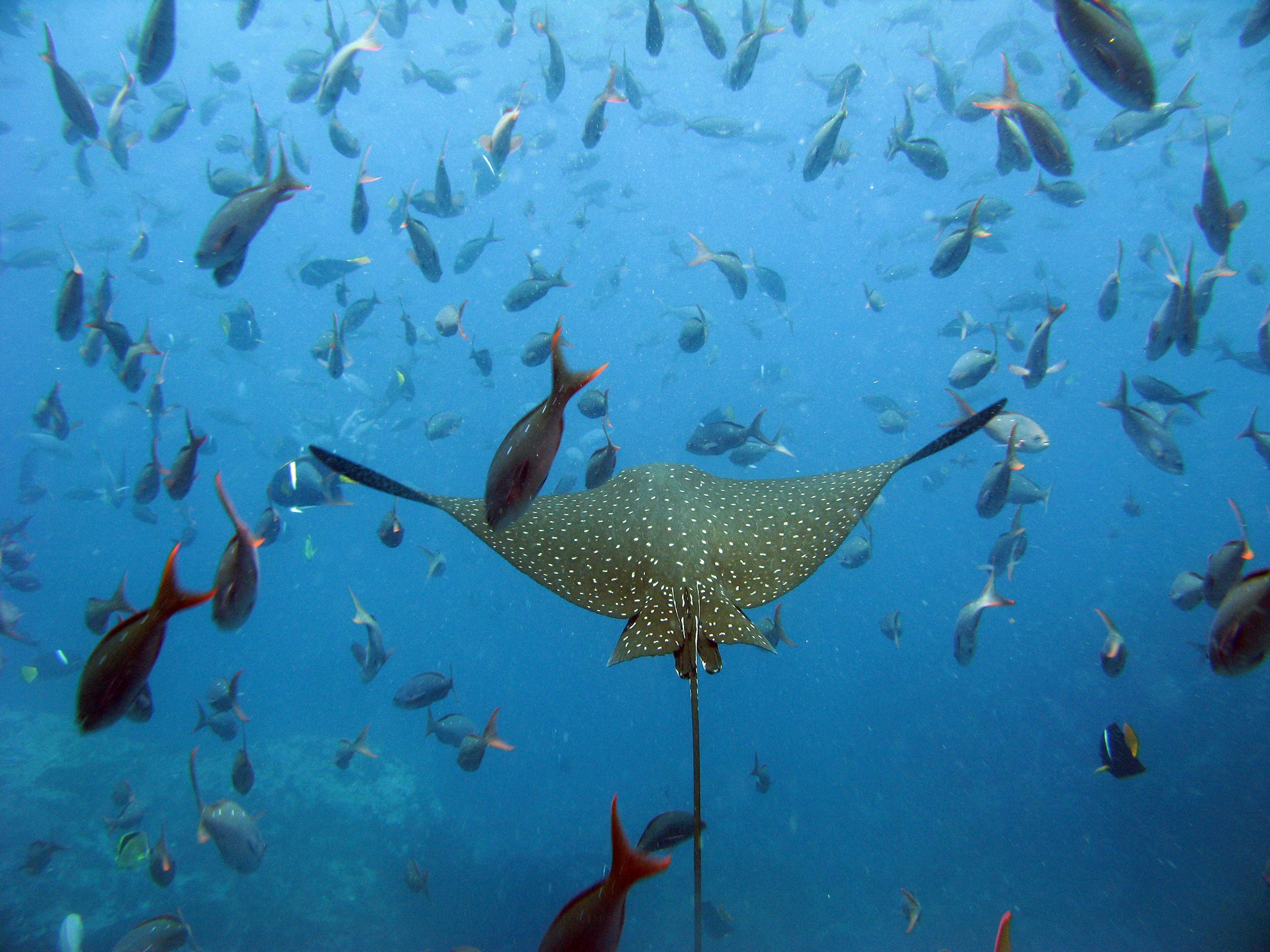 galapagos science center
